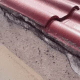 SPRAY IMPERMEABILIZANTE® ORIGINAL + REGALO