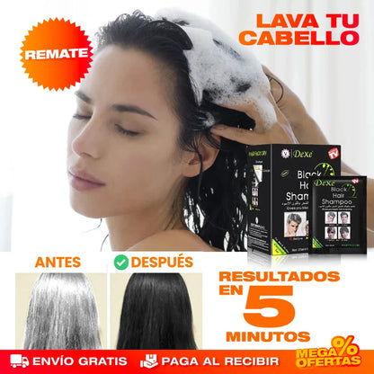 Shampoo Vegetal Cubre Canas para Mujeres | Renová tu Color Natural Sin Químicos + REGALO