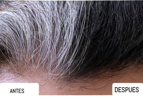 Shampoo Vegetal Cubre Canas para Mujeres | Renová tu Color Natural Sin Químicos + REGALO