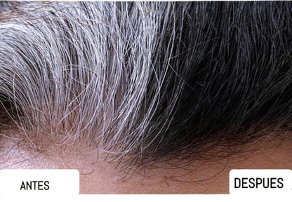 Shampoo Vegetal Cubre Canas para Mujeres | Renová tu Color Natural Sin Químicos + REGALO